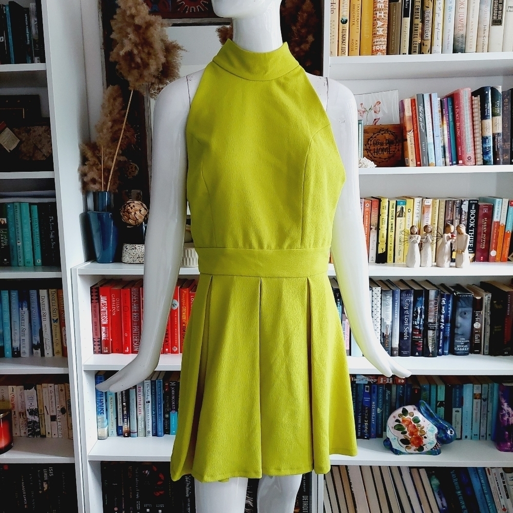 NEW Carribean Queen Lime Turtleneck Dress P41